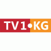 TV1 KG