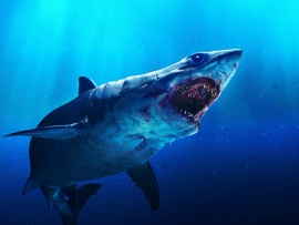 Мако. Убийца из глубины