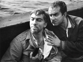 Чёрная чайка