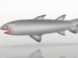 Эволюция. Битва за жизнь