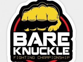 Бокс. Bare Knuckle FC
