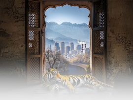 Окно в Пакистан