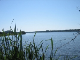 Пруды Бренна