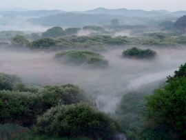 Тайны природы