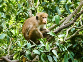Свидание с природой