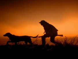 Особенности подмосковной охоты