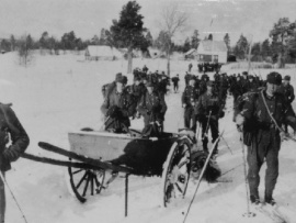 Освобождая Родину