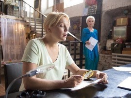 Детективы Анны Малышевой-11. Железный лес