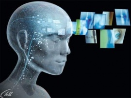 Документальная программа