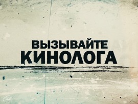 Вызывайте кинолога