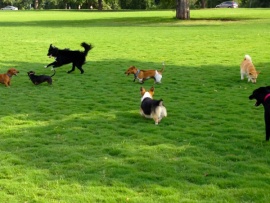 Моя большая семья