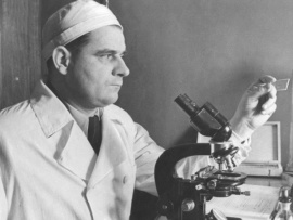 Анатолий Смородинцев. Приручивший вирус