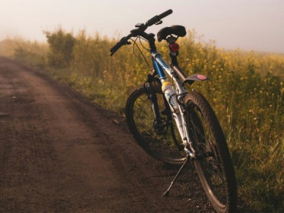 Отважные чудаки