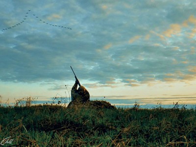 Охота по перу