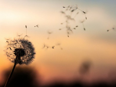 Круговорот жизни