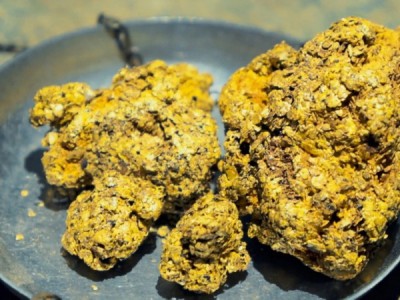 Путь золота