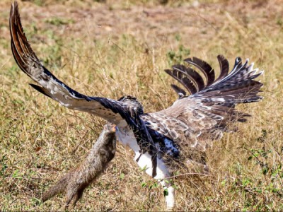 Глазами жертвы