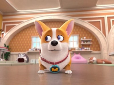 Корги по имени Моко. Защитники планеты