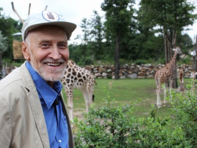 В мире животных