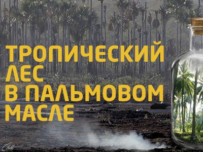 Тропический лес в пальмовом масле