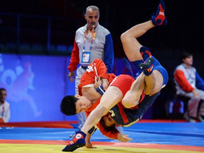 Чемпионат мира по боевому самбо и MMA