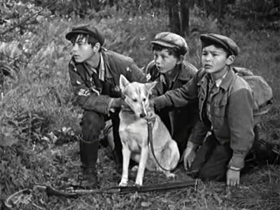 О чём молчала тайга