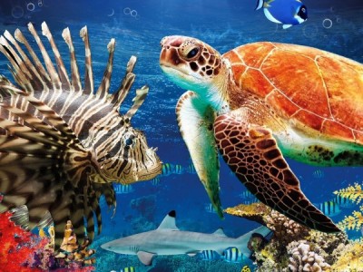 Тайны Красного моря 4K