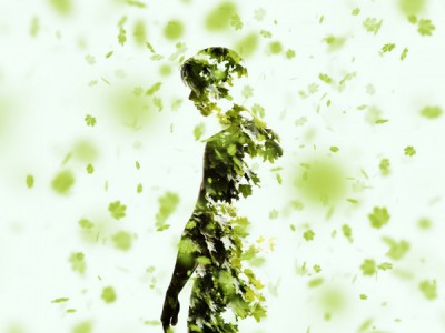 Маршал Жуков. Триумф полководца