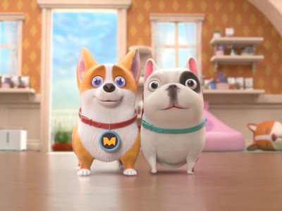 Корги по имени Моко. Домашние животные