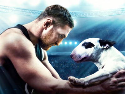 Бультерьер