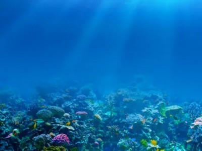 Погружение ради жизни