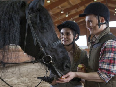 Нашедшего ждет вознаграждение