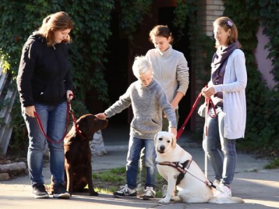 Вeрные друзья