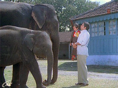 Я и мой слон