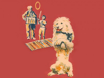 Белый пудель