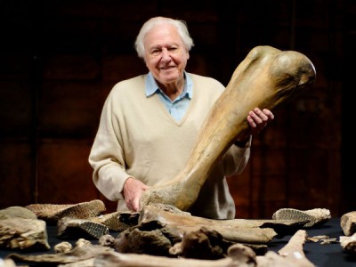 Аттенборо и кладбище мамонтов