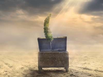 Россия в деле