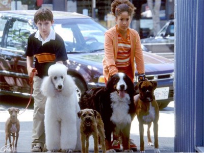 Лохматый спецназ