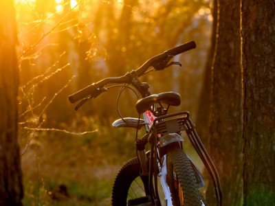 На велике по штатам