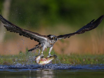 На хуторе Бундин