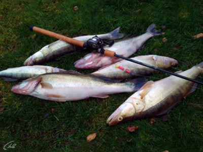 Рыбалка с Григорием Безменовым