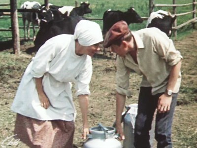 Трава зелена