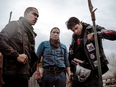 Чистота крови