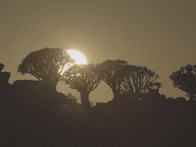 Дикая Намибия