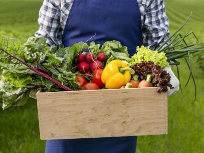 Офисное садоводство