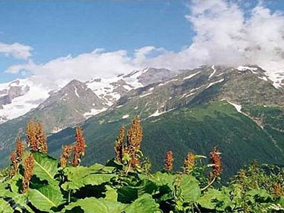 Путешествие по Тебердинскому заповеднику