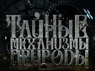 Тайные механизмы природы