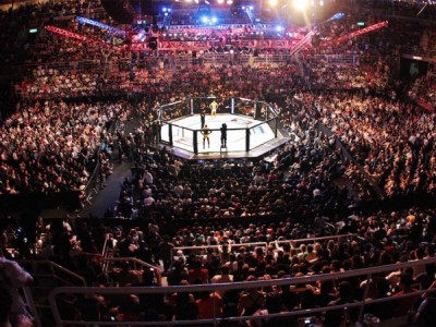 Смешанные единоборства