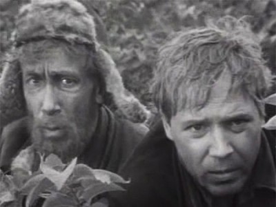 Волчья стая