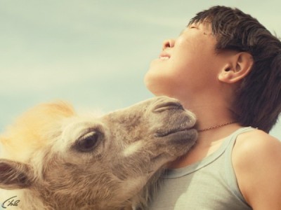 Небесный верблюд